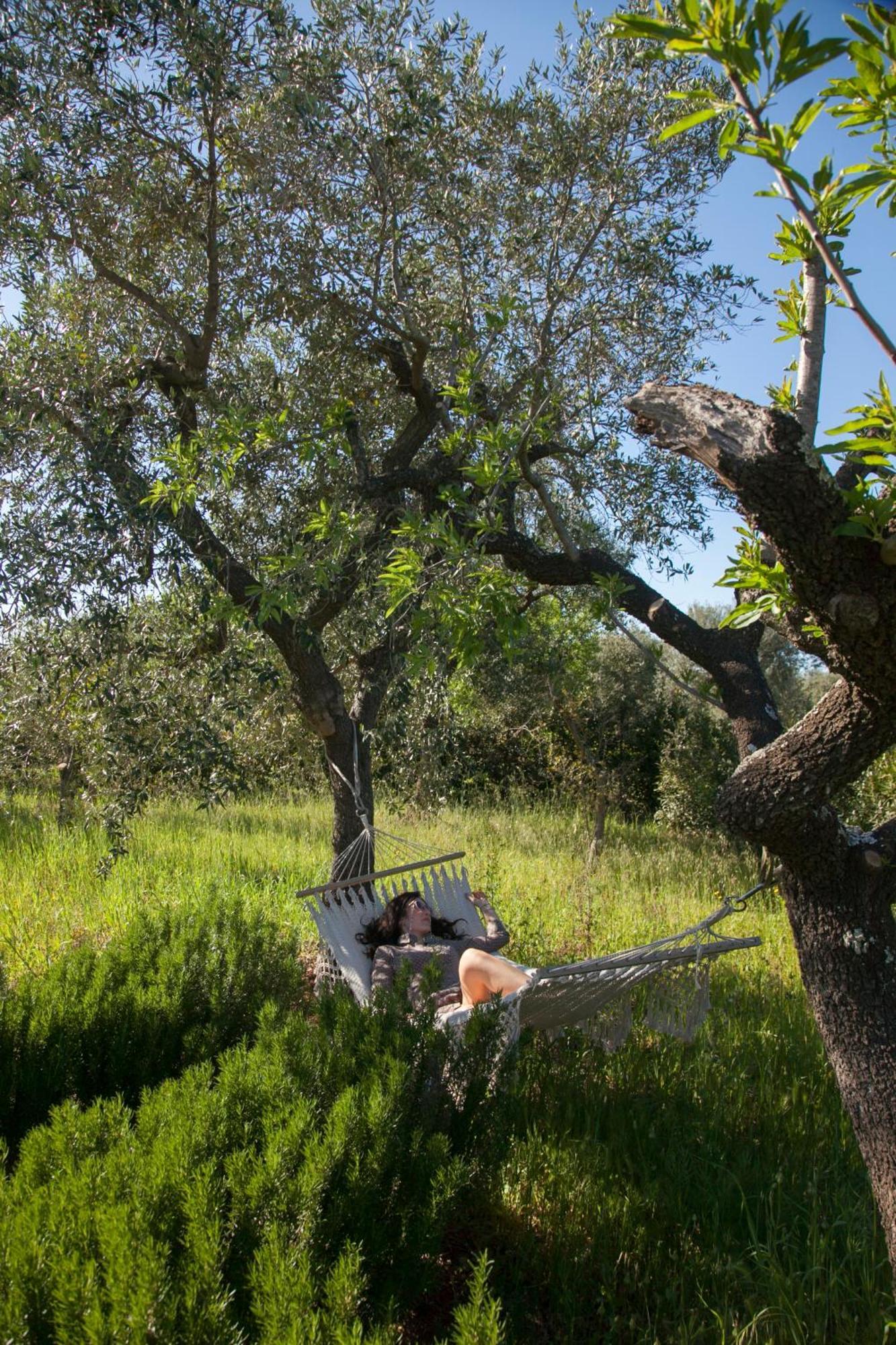 Trulli Alla Controra กอนแวร์ซาโน ภายนอก รูปภาพ