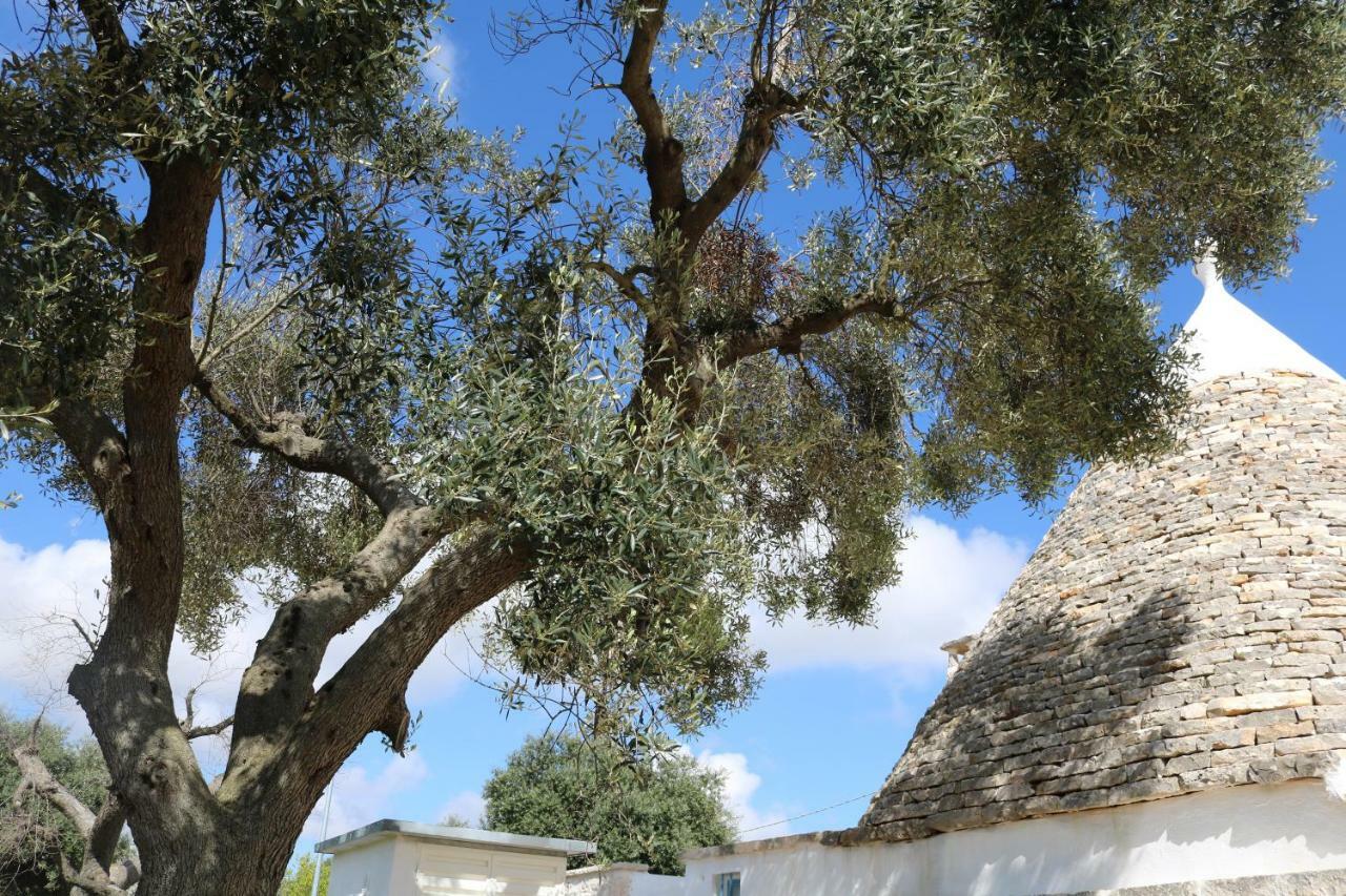 Trulli Alla Controra กอนแวร์ซาโน ภายนอก รูปภาพ